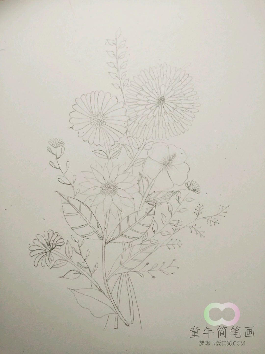 铅笔画花怎么画--童年简笔画-优质简笔画教程网站