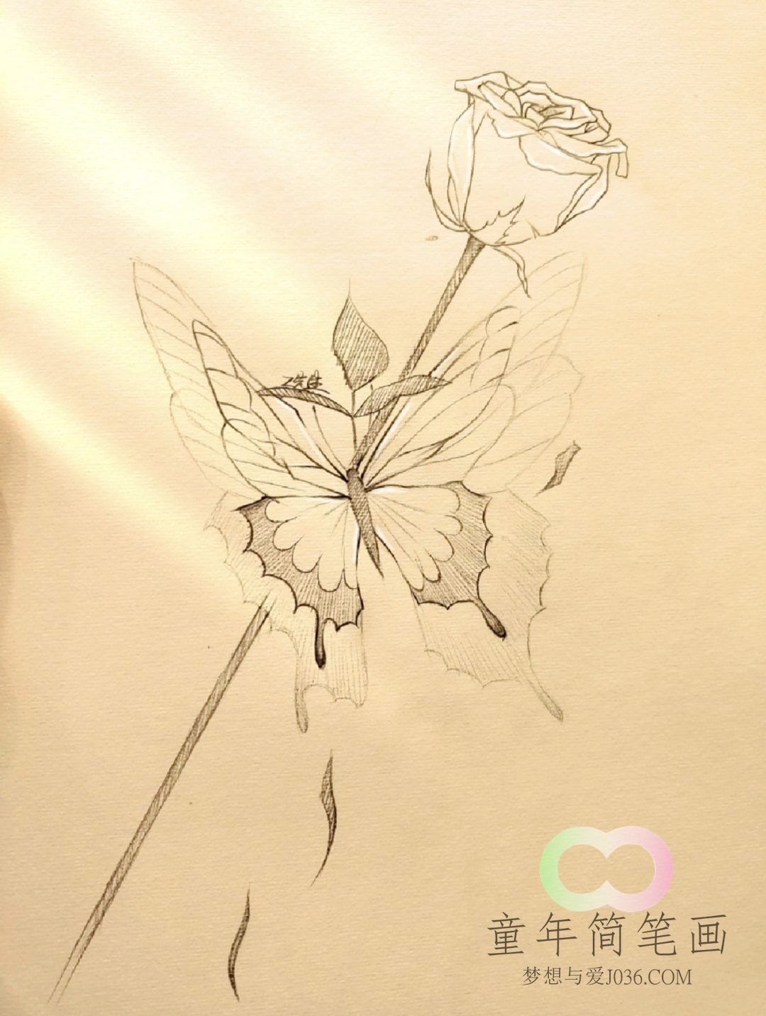 小堀遠州筆 萝字蝶之画 小堀遠州筆 萝字蝶之画 小堀遠州筆短冊
