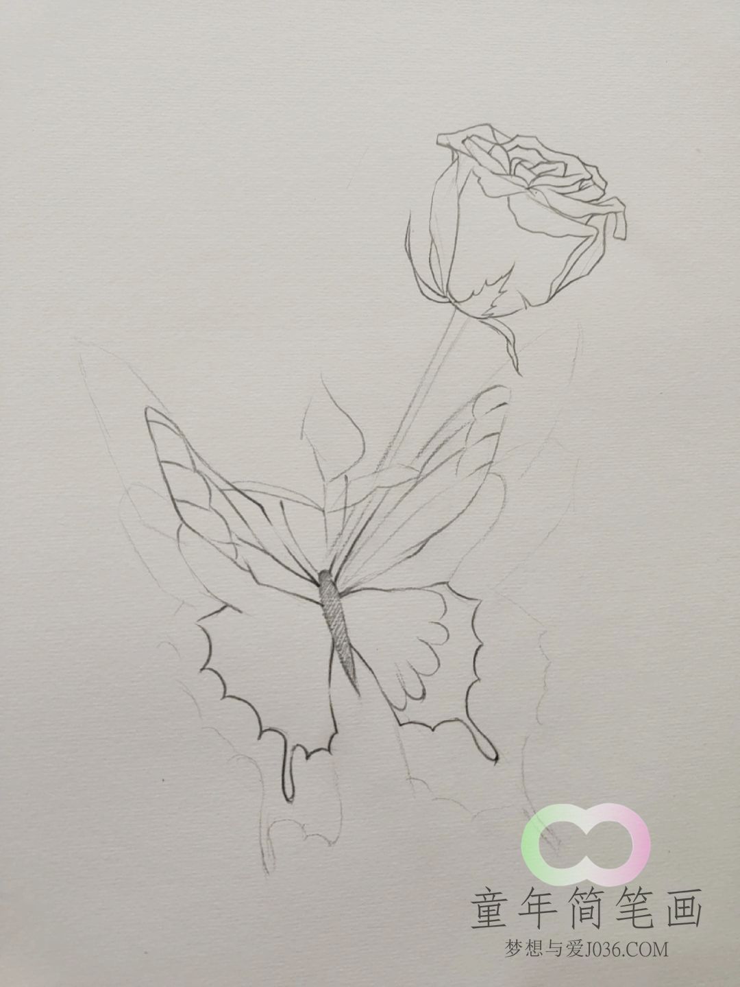 玫瑰与蝴蝶简笔画教程--童年简笔画-优质简笔画教程网站