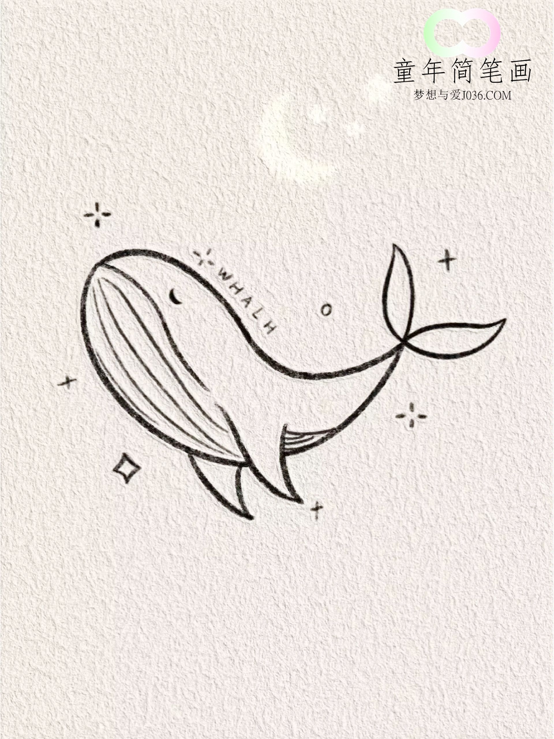 鲸鱼简笔画步骤--童年简笔画-优质简笔画教程网站